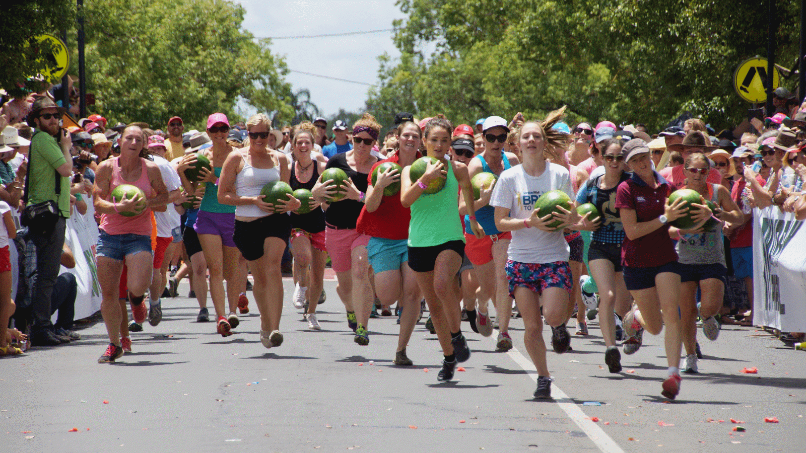 Chinchilla Melon Festival: GET YOUR MELON ON!